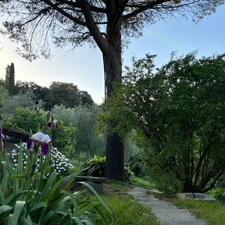 Villa Fuccioli Ii Carmignano