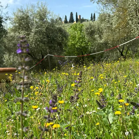 Fuccioli Ii Villa Carmignano