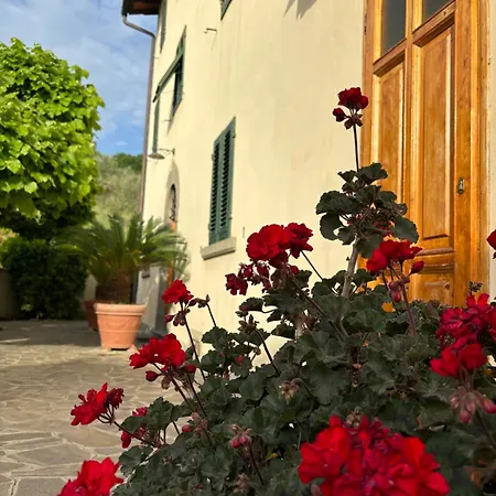 Villa Fuccioli Ii