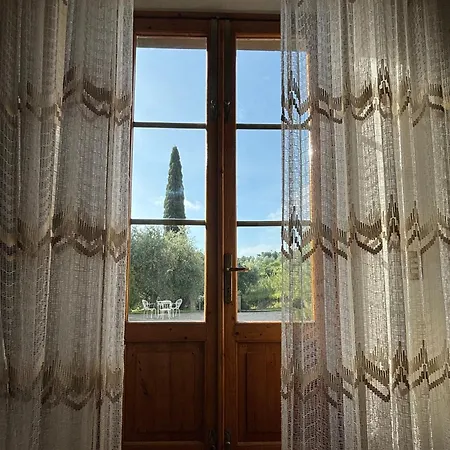 فيلة Fuccioli Ii