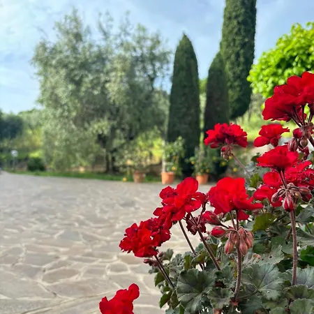 Villa Fuccioli Ii